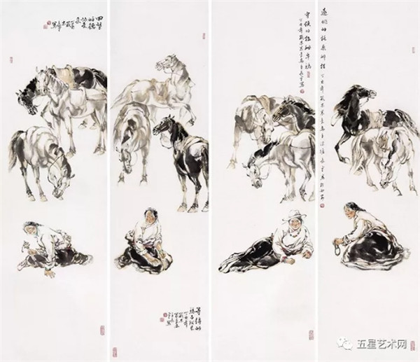 马兰花