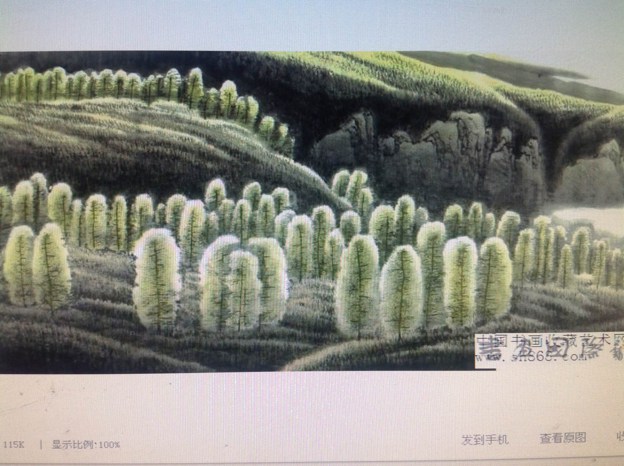 卢山老师作品