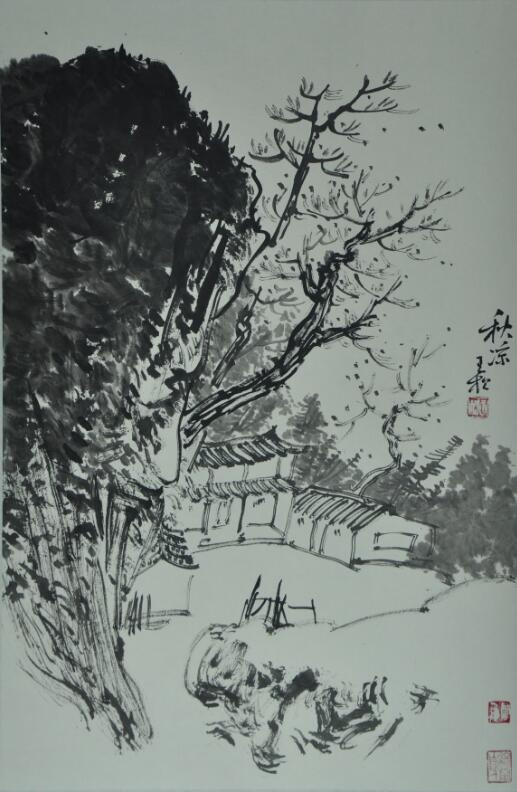 王松老师作品