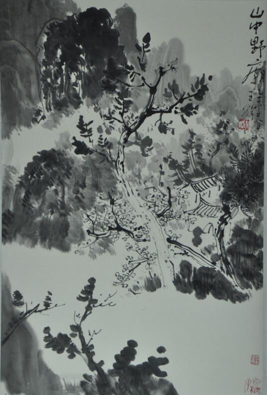 王松老师作品